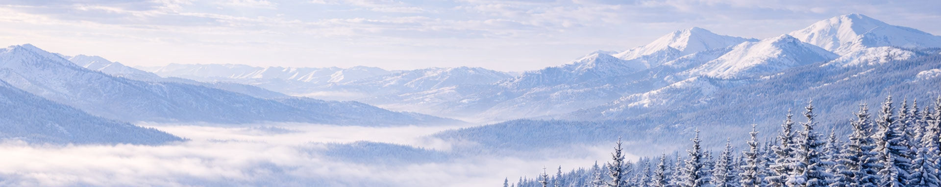 Başmeşrubat üst görsel